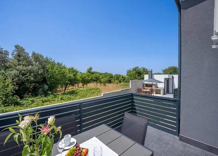 Domus Alba Apartment